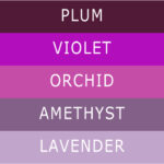 Lavender vs Violet 1