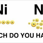 Ni vs Ne [How to Differentiate?]